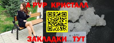 a pvp Новозыбков