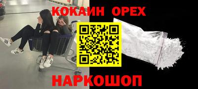 a pvp Новозыбков