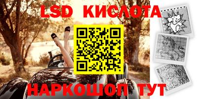 a pvp Новозыбков
