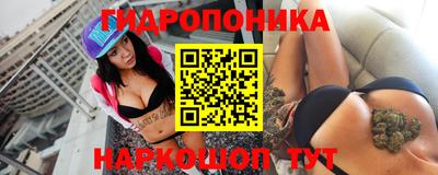 a pvp Новозыбков