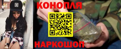 a pvp Новозыбков