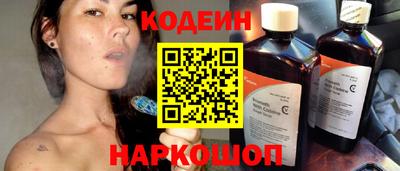 a pvp Новозыбков