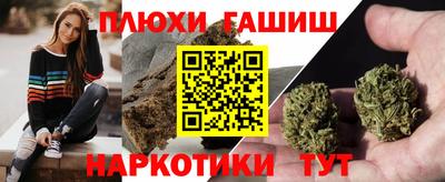 a pvp Новозыбков