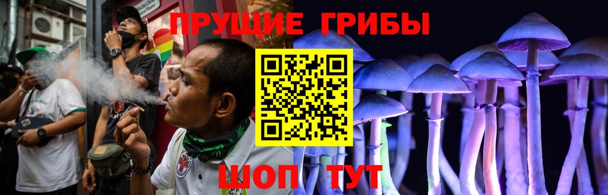 Ачинск  Псилоцибиновые грибы прущие грибы  Псилоцибиновые грибы Magic Shrooms  Вход с VPN 